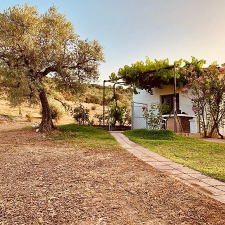 Casa Rural Arroyo Marco Guadalcanal Екстериор снимка