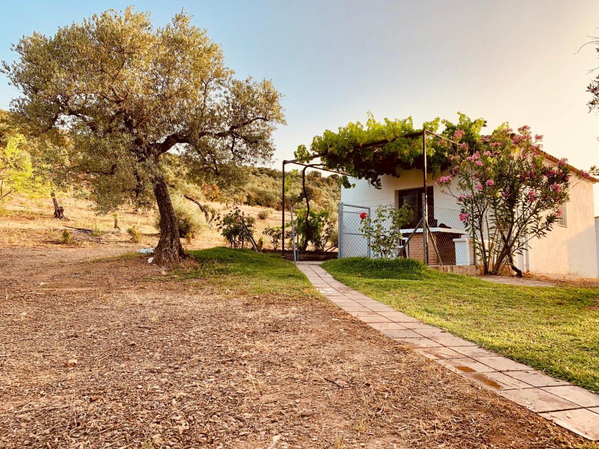 Casa Rural Arroyo Marco Guadalcanal Екстериор снимка
